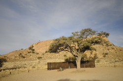 Aus camping Namibia